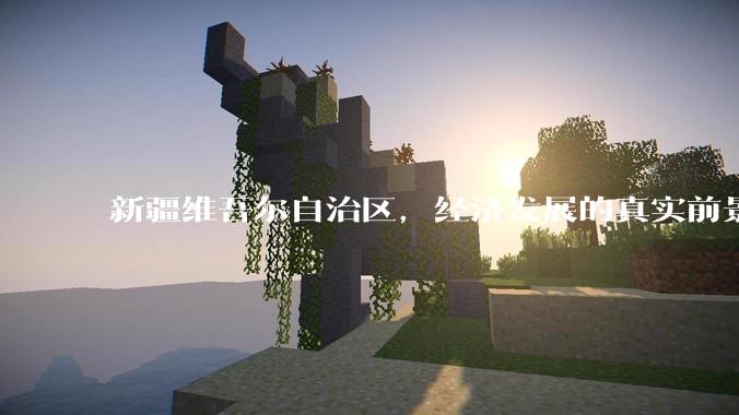 新疆维吾尔自治区，经济发展的真实前景如何？