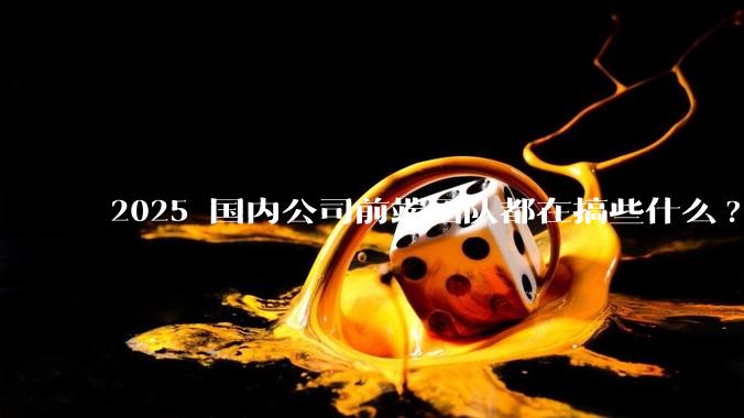 2025 国内公司前端团队都在搞些什么?